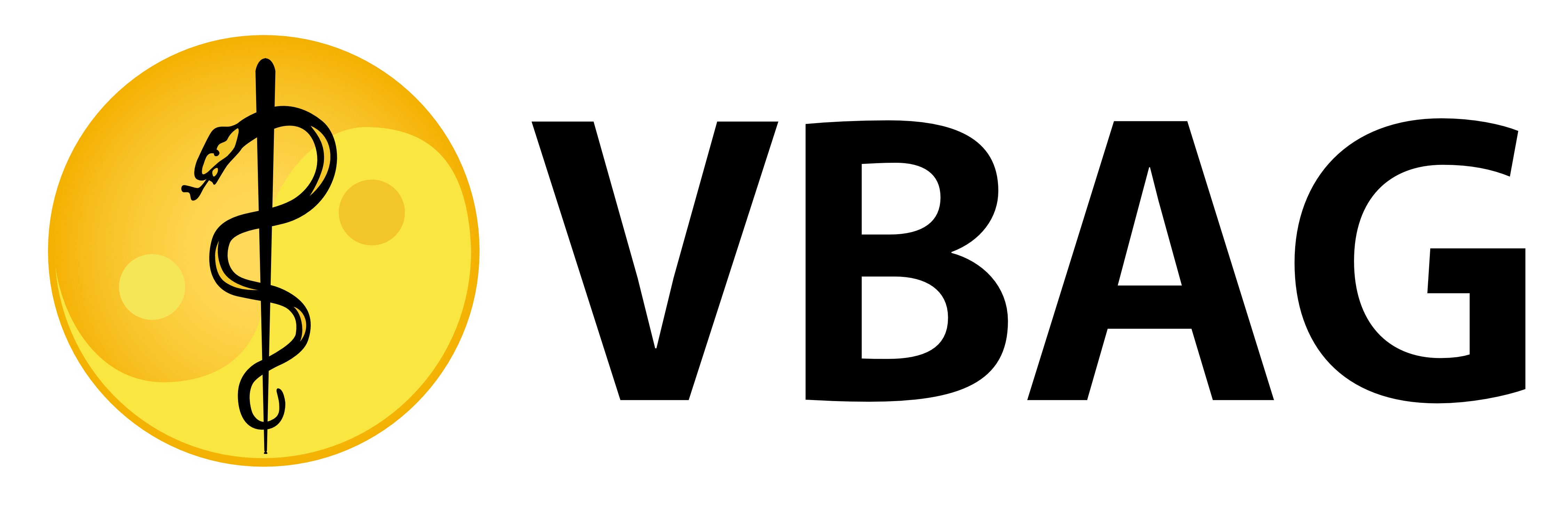 vbag.jpeg